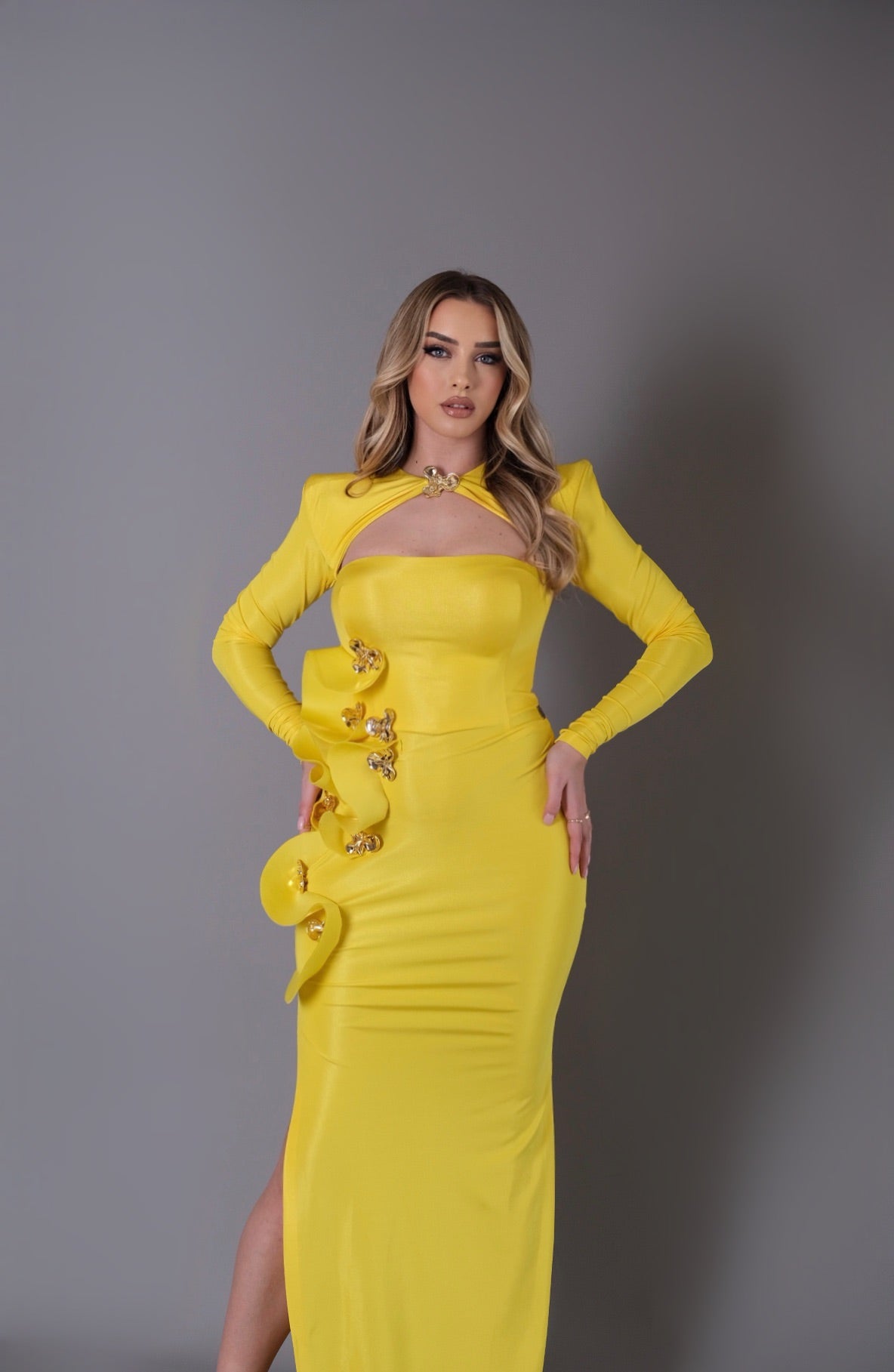 Amaterasu - High Neck dress with gold embellishments