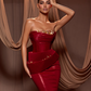Carmila - Vanadium Vermilion Dress