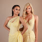 DC DRESS NELA