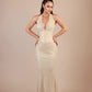 DC DRESS EVELORA