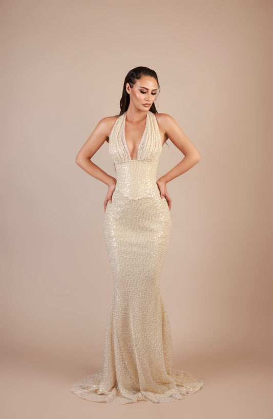 DC DRESS EVELORA