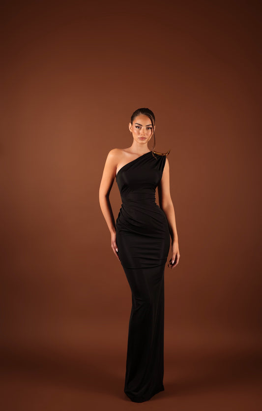 DC DRESS EVELINE